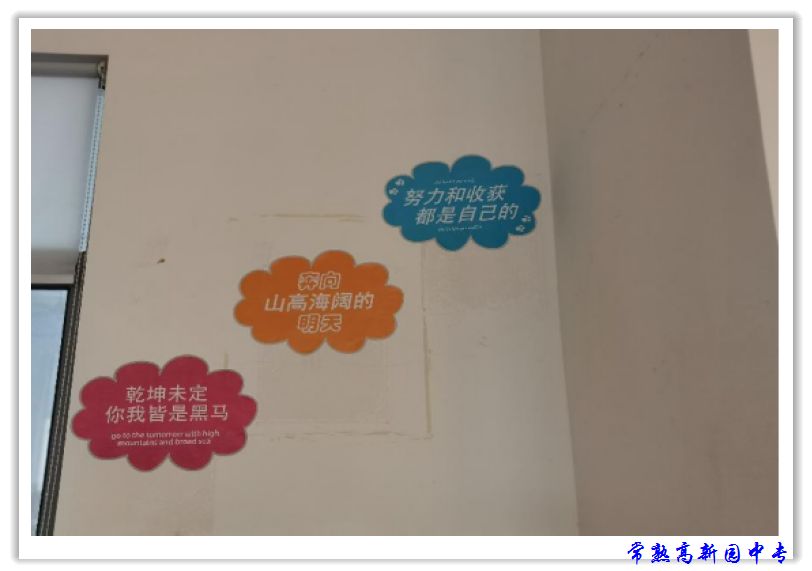 e6677606bb4a41488ae729213729d7e5.jpg
