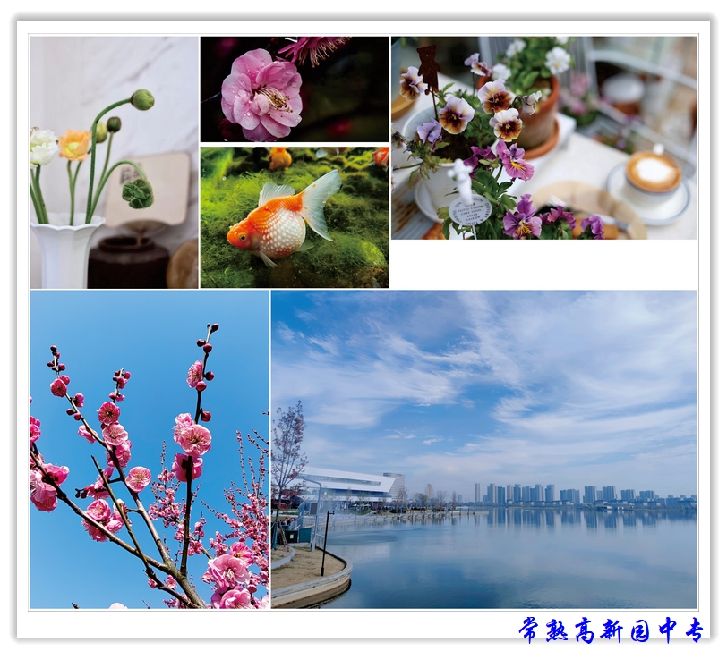 508703d962bf4bfaa0d8d4985b19c3ab.jpg