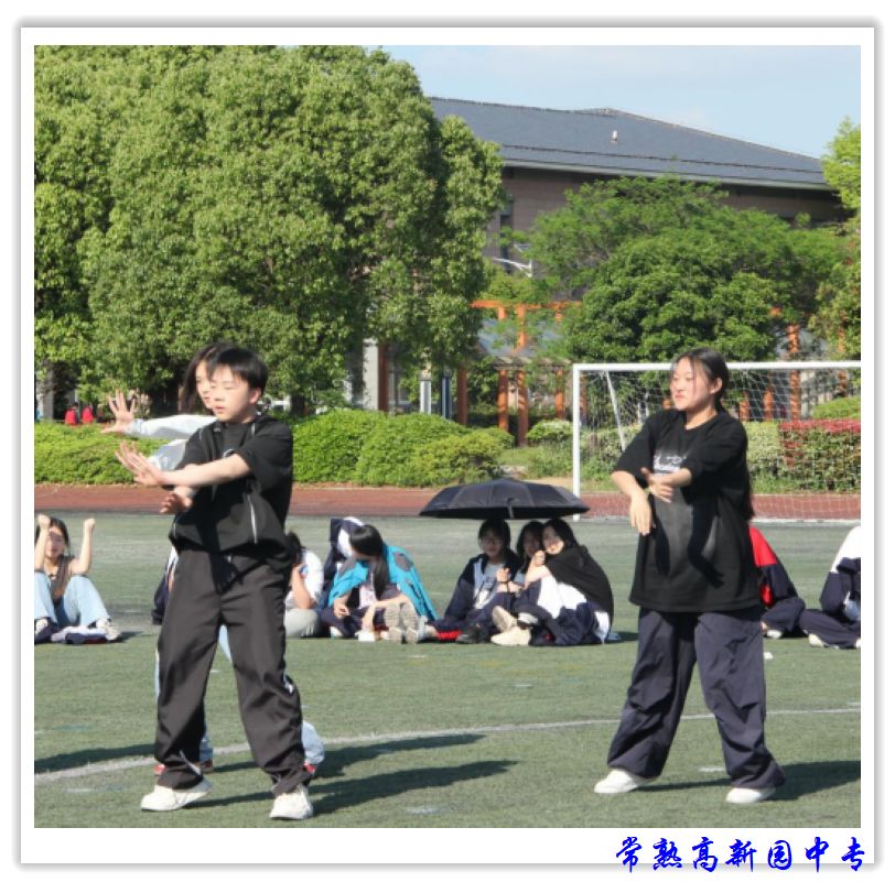 d4aa0050bc0841048c261837bfb0bea6.jpg
