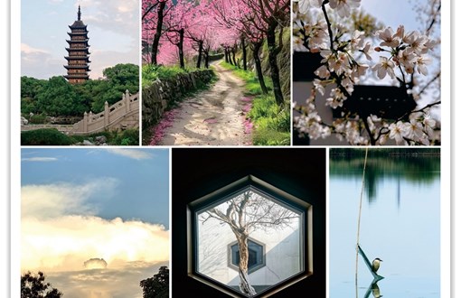 温馨三月八　 巾帼绽芳华 ——常熟高新园中等专业学校组织开展女教职工摄影活动