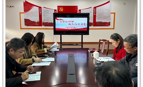 学习全会精神，凝聚奋进力量——高新园中专第一党支部十二月主题党日活动纪实